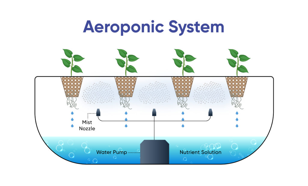 how aeroponics works