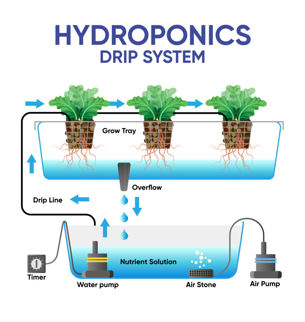 hydroponic drip system