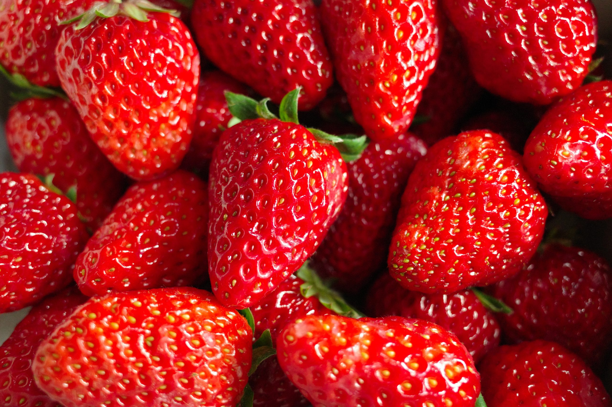 How to Grow Hydroponic Strawberries - Ponics Life