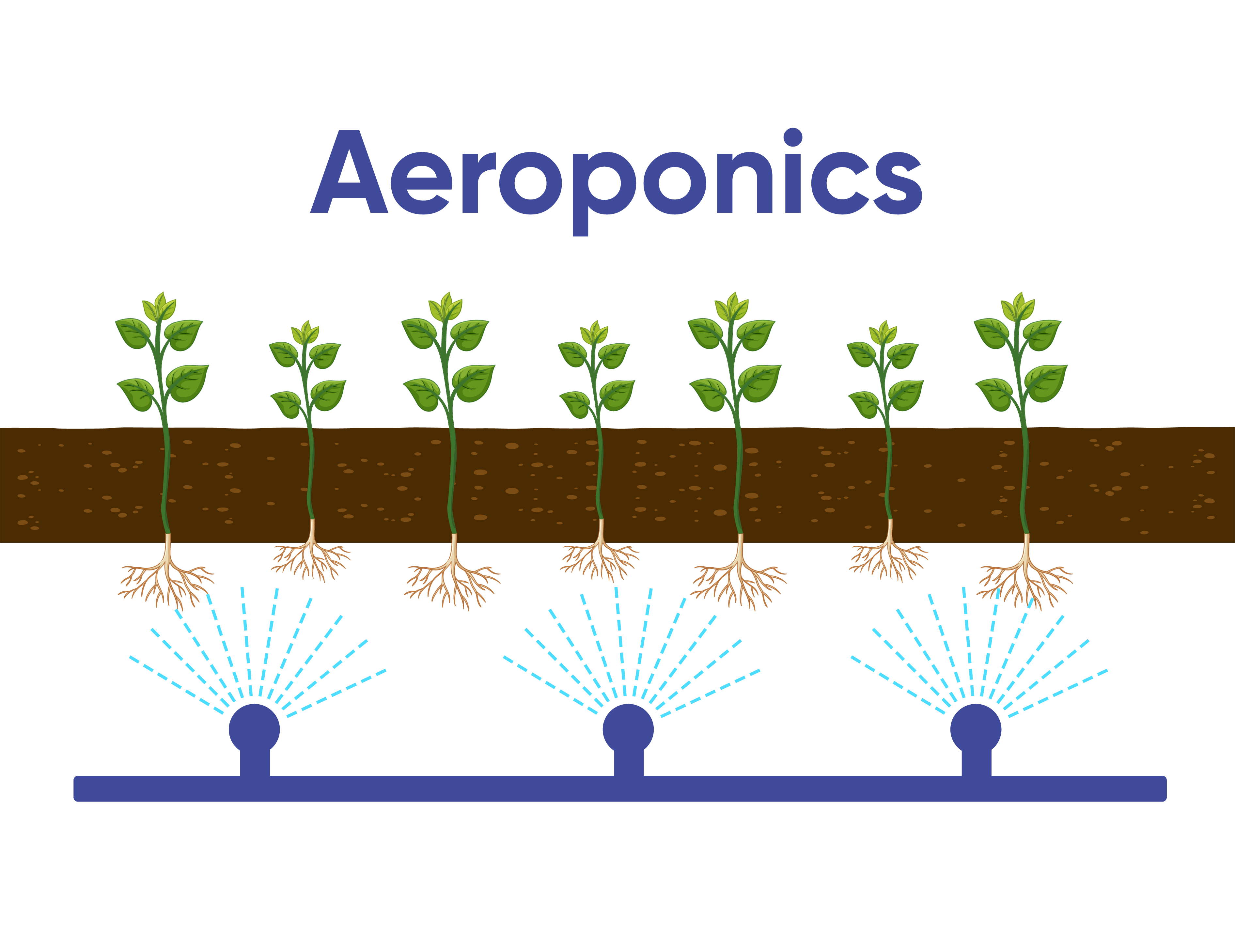 basic aeroponics system