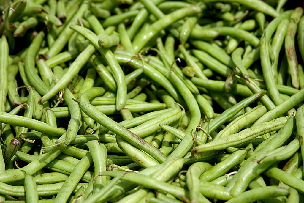 green beans in a pile