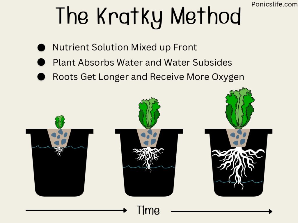 kratky hydroponics