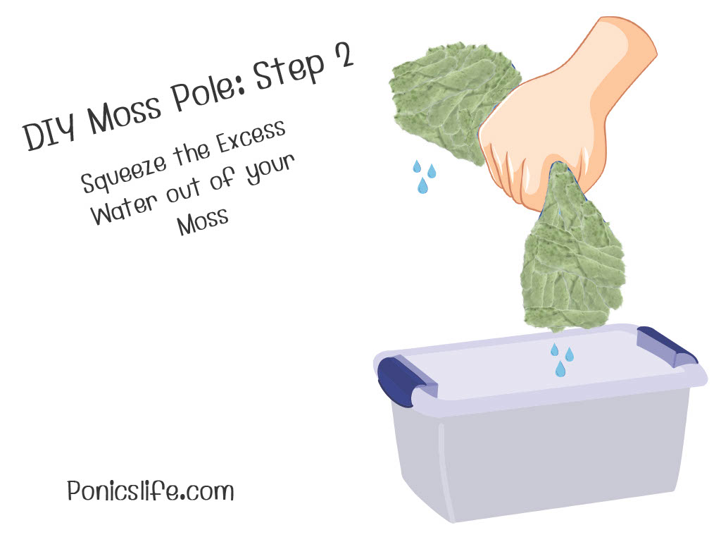 DIY Moss Pole