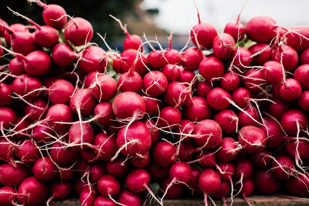 aquaponic radishes