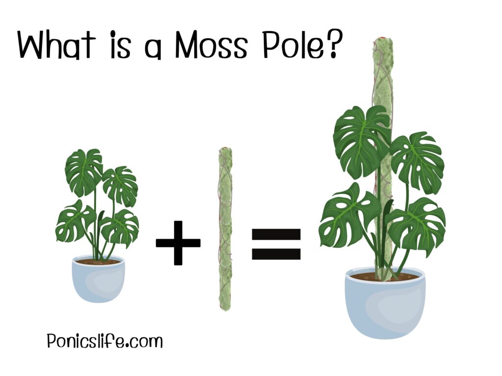 DIY Moss Pole