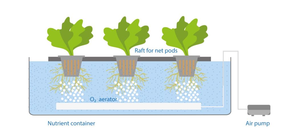 DWC diagram 