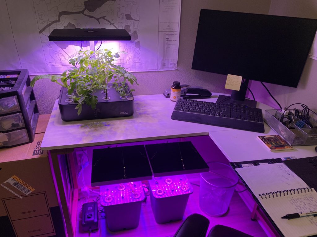 home office hydroponics