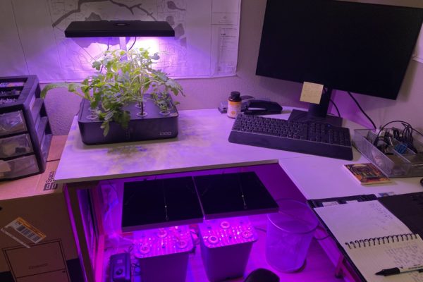 home office hydroponics