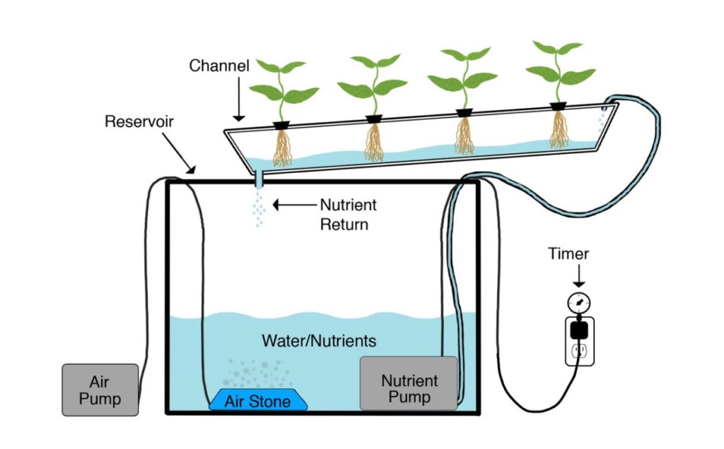 NFT Diagram