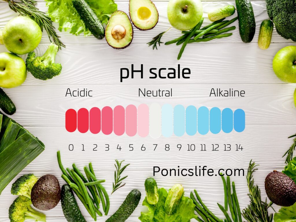 pH scale for vegetables