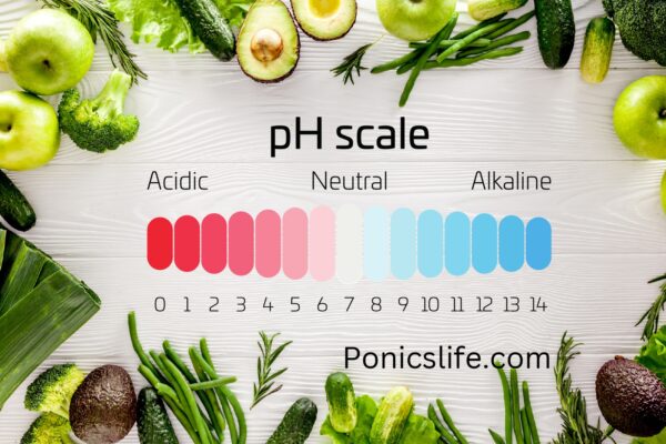 pH scale for vegetables