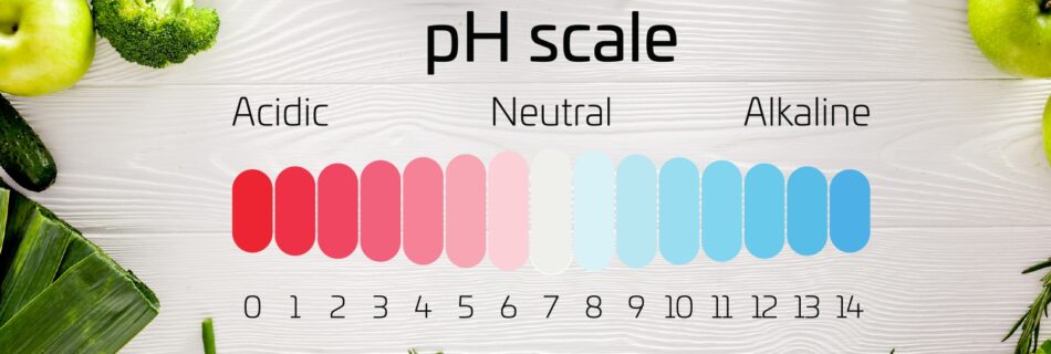 pH scale for vegetables