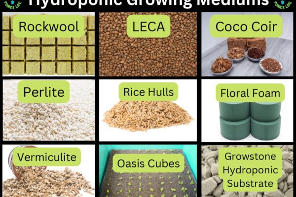 growing mediums used in hydroponics