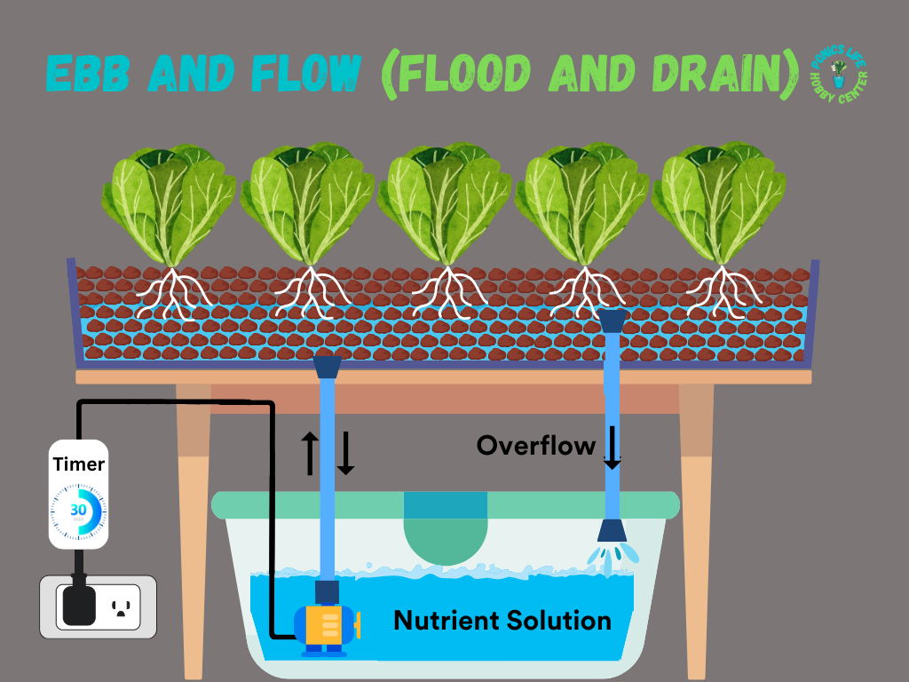 Ebb And Flow (Flood And Drain) Hydroponics: A Complete Guide