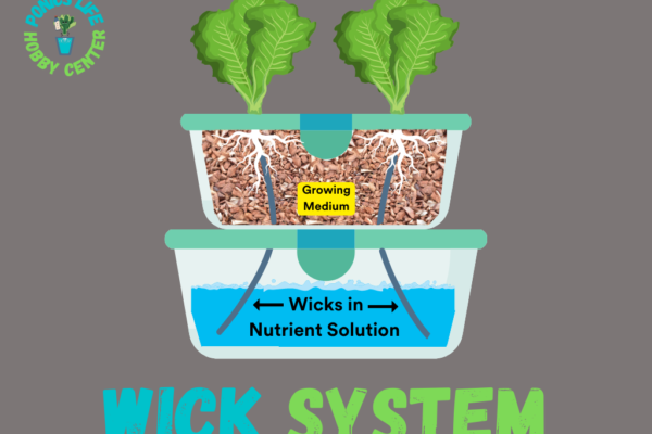 hydroponic wick system diagram