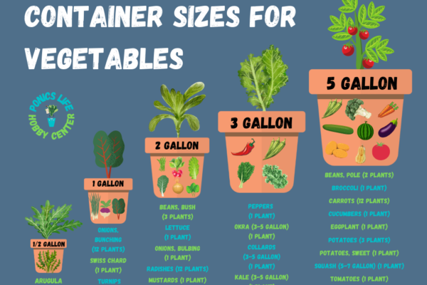 Container sizes needed for different vegetables