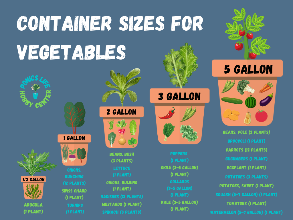 Vegetable Container Size Standards (With Chart) Ponics Life