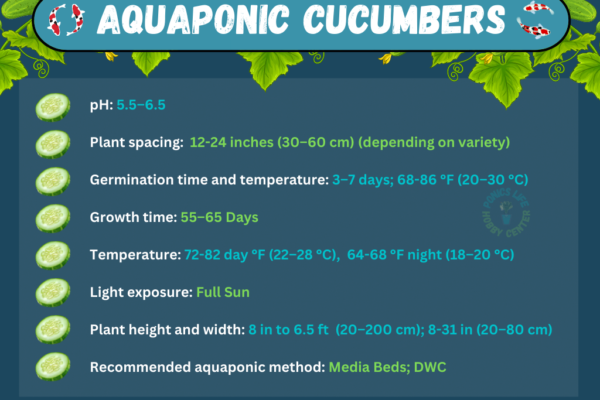 cucumbers grown with fish