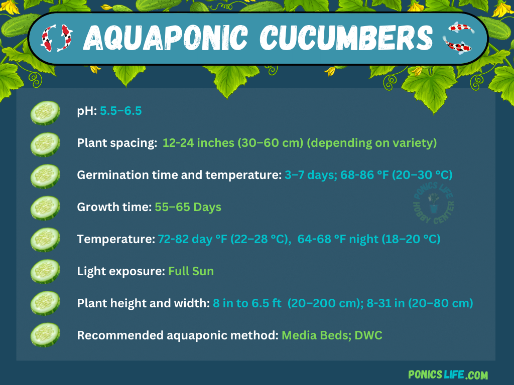 cucumbers grown with fish