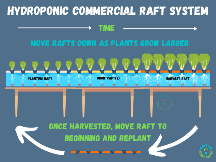 Dwc Raft Deep Water Culture (DWC) Systems: A Complete Guide for Hobbyists