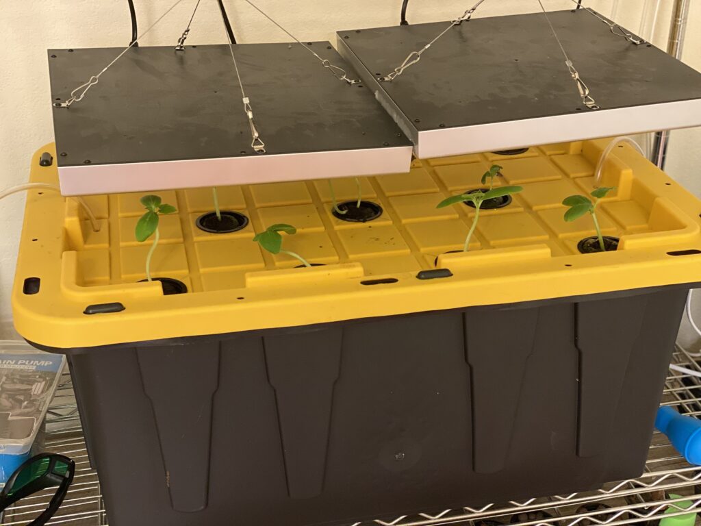 DWC system