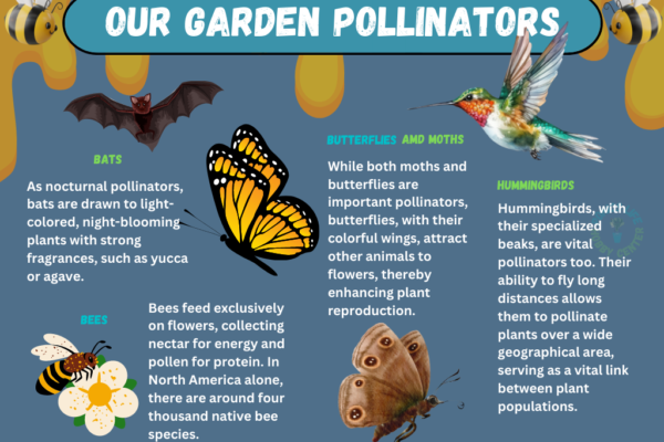 garden pollinators