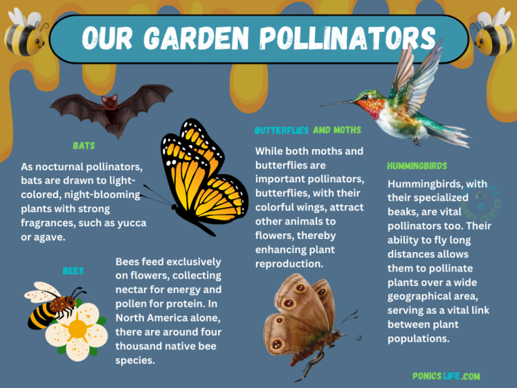 Creating a Pollinator Paradise: How to Attract Bees and Other ...