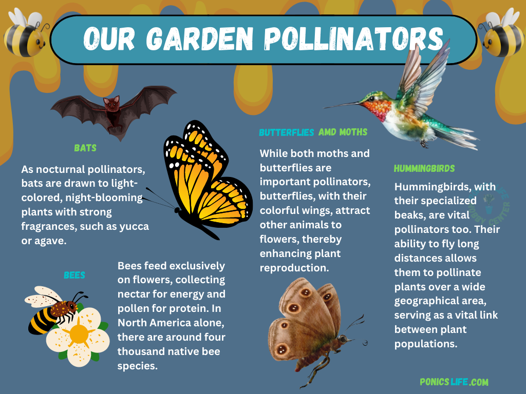 garden pollinators 