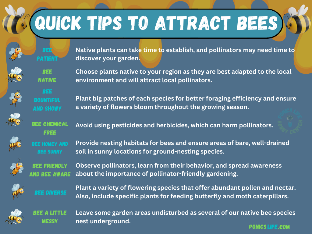 How to attract bees to a garden