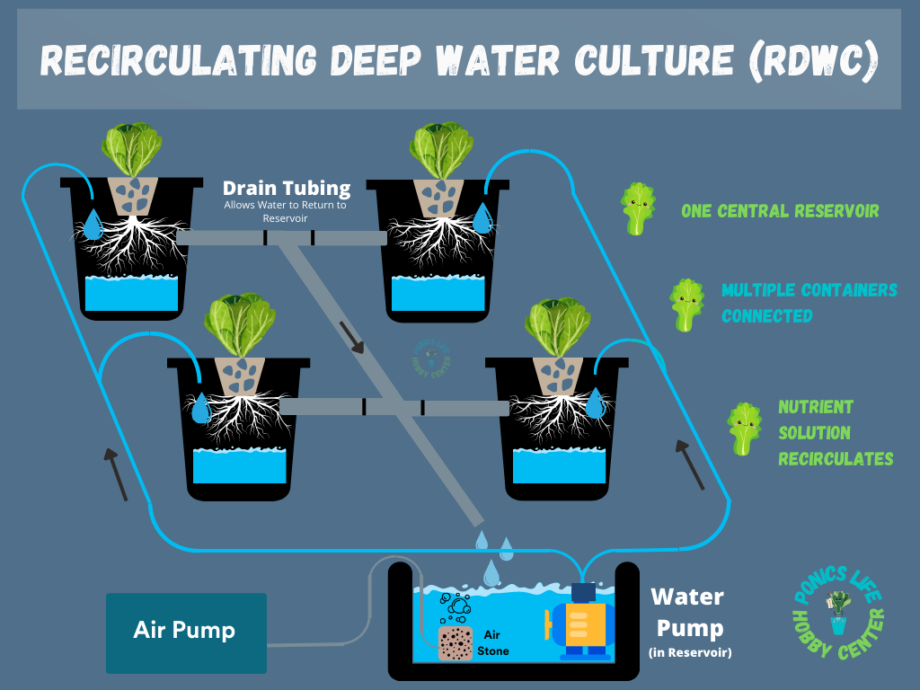 Recirculating Deep Water Culture