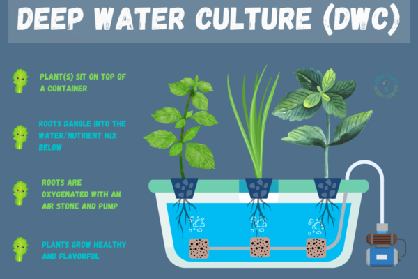 regular DWC in container