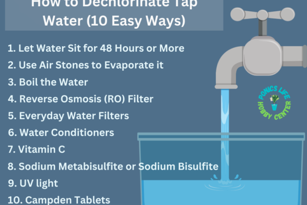 Ways to get rid of chlorine in water