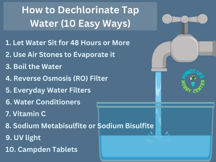 How to Dechlorinate Tap Water (10 Easy Ways)