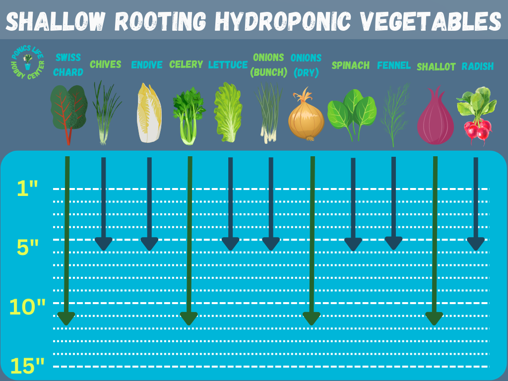 Vegetables that have shallow roots and work well in hydroponics.