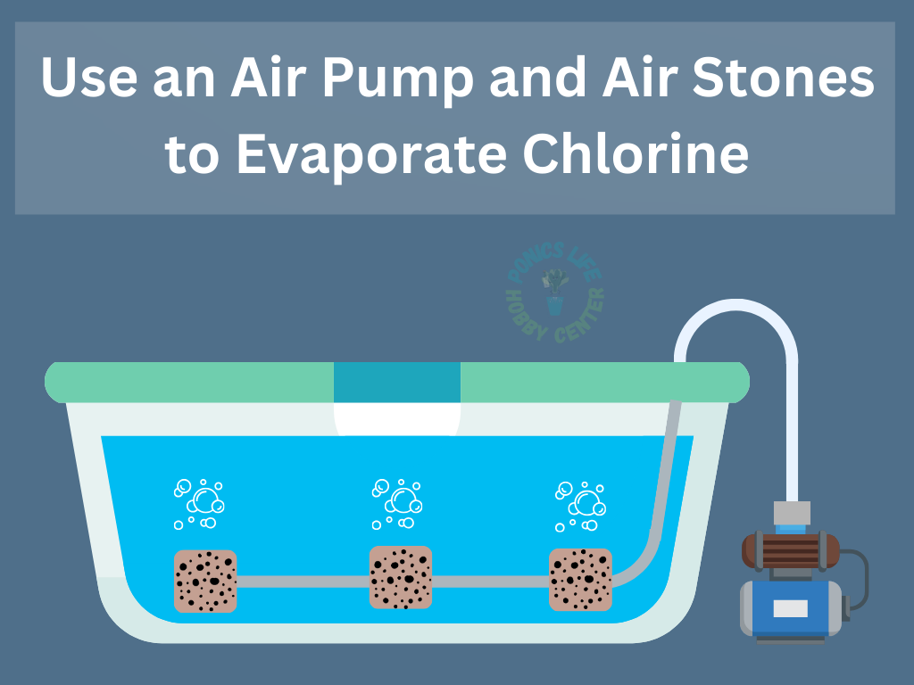 Use an air stone to effectively evaporate chlorine from tap water