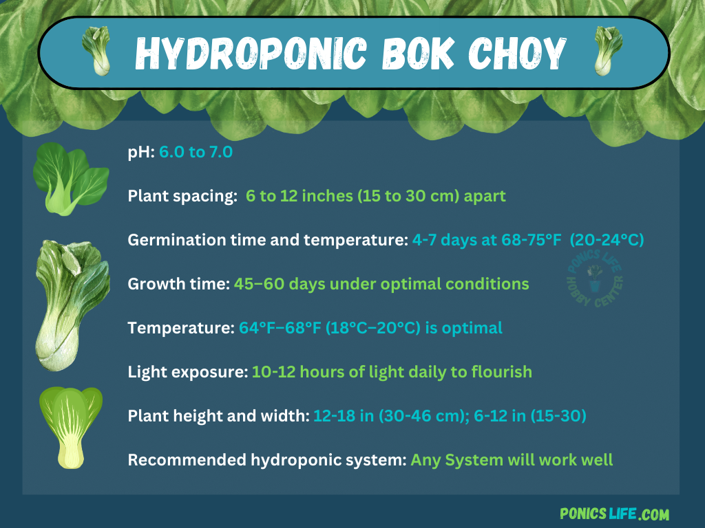 Bok Choy growing conditions