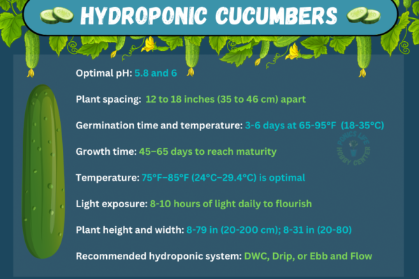 hydroponics cucumber growing conditions