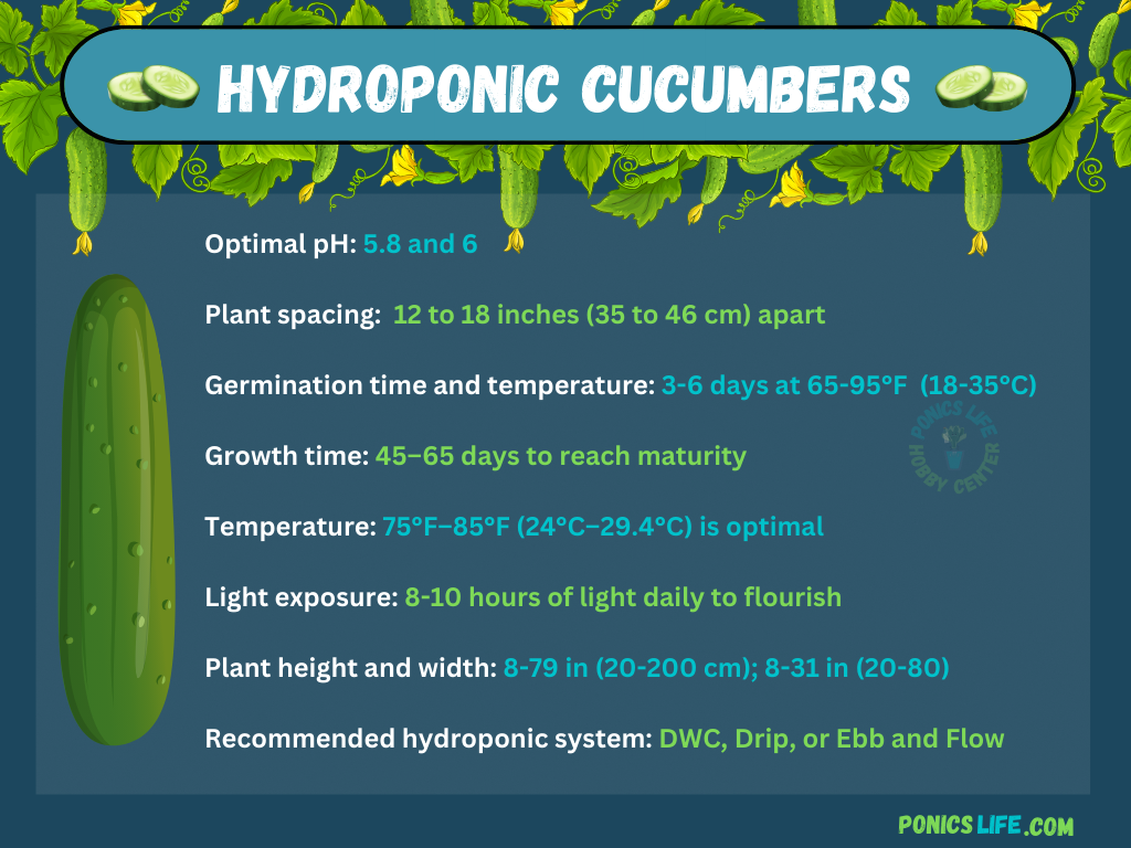 Vegetable Container Size Standards (With Chart) - Ponics Life