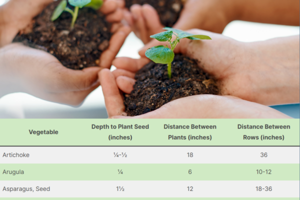 Seed depth and spacing chart on top of picture.