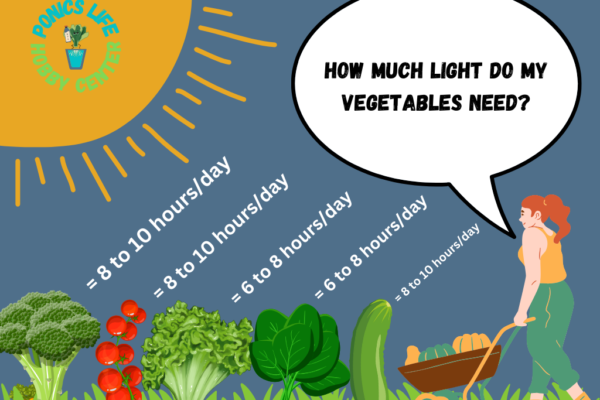 Light hours of direct sunlight needed for certain vegetables