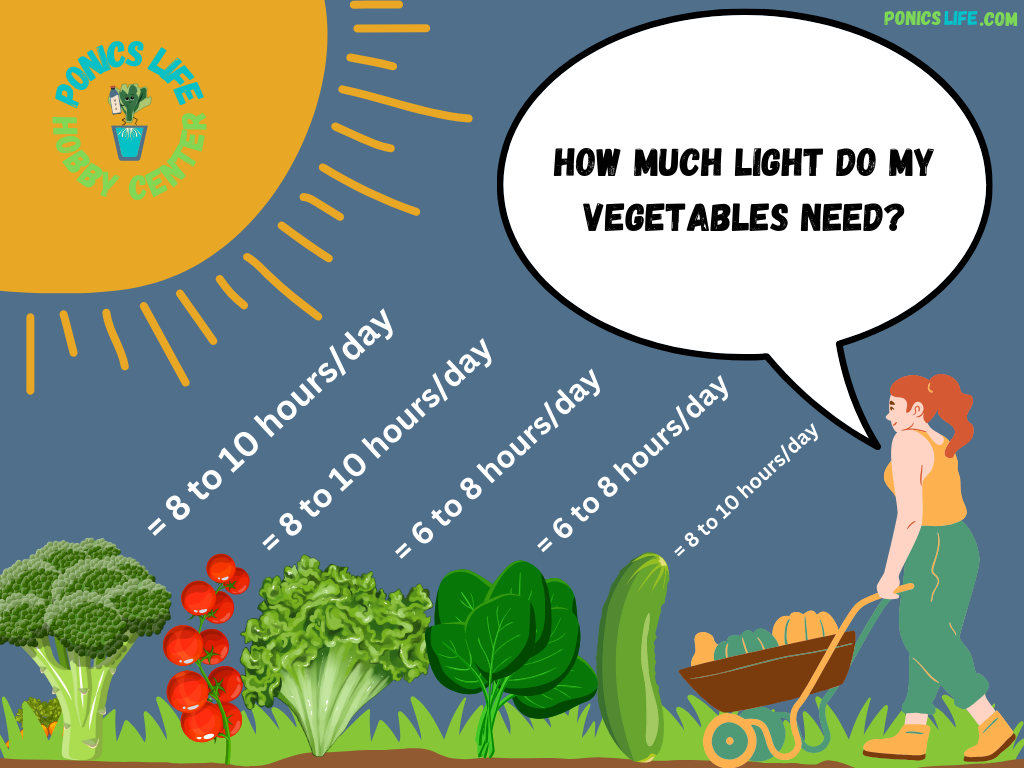 Light hours of direct sunlight needed for certain vegetables