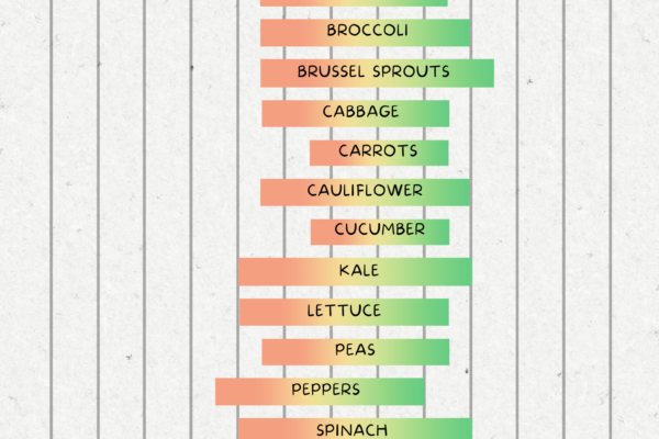 Planting schedule and calendar for Zone 3 in the US