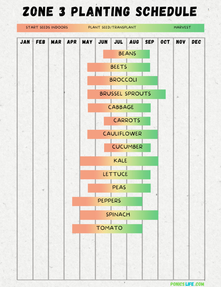 Wisconsin Vegetable Planting Calendar A Quick and Easy Guide