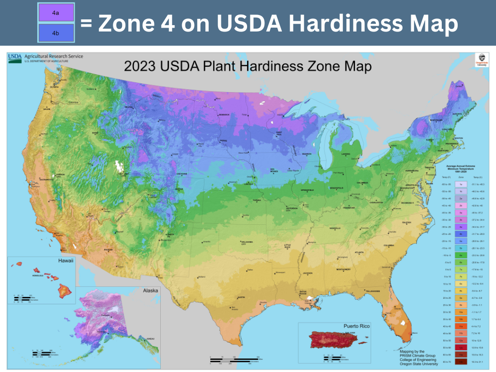 shows where zone 4 is on the USDA hardiness map