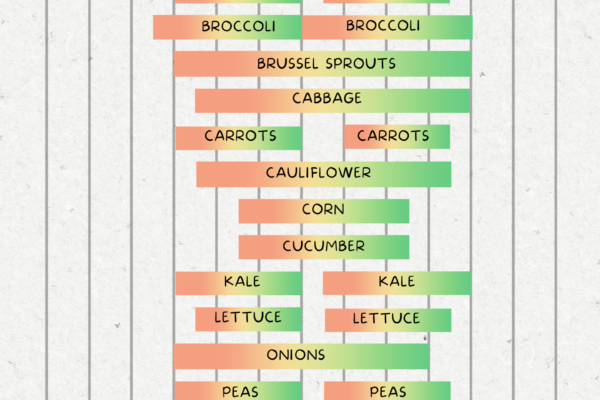 Vegetable planting schedule and calendar for zone 5a and 5b