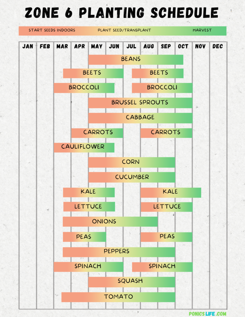 Planting calendar showing when to plant vegetables in zone 6