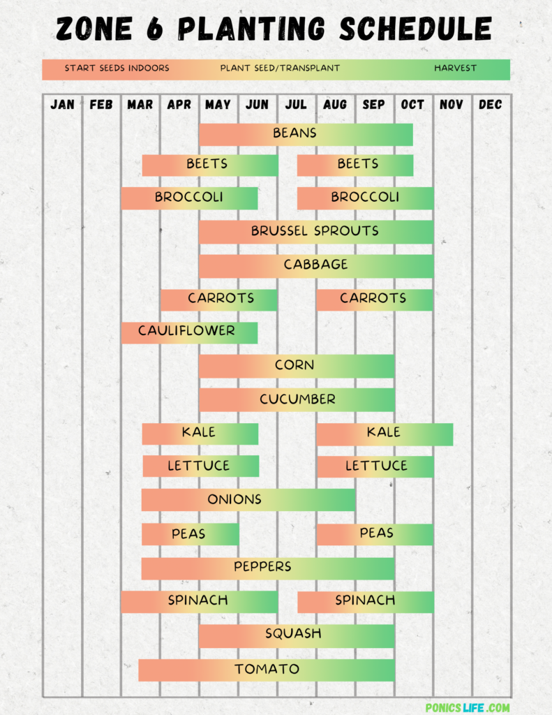 Indiana Vegetable Planting Calendar A Quick And Easy Guide Indiana Vegetable Planting Calendar A Quick And Easy Guide