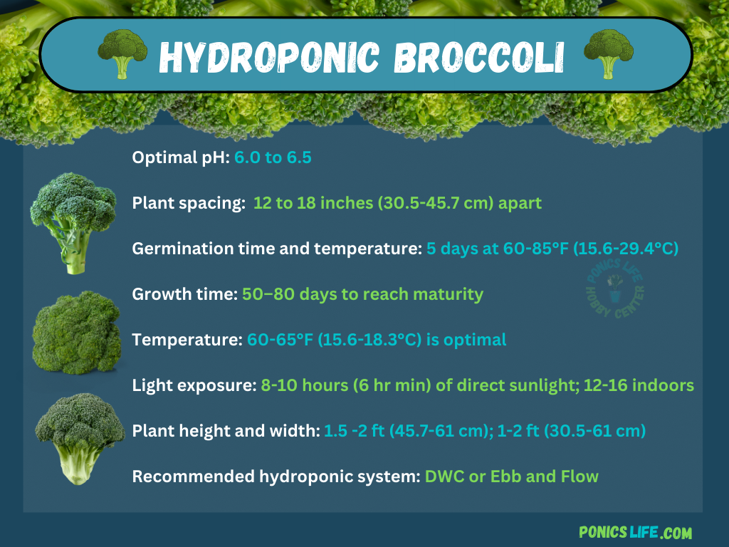 broccoli parameters if growing hydroponically