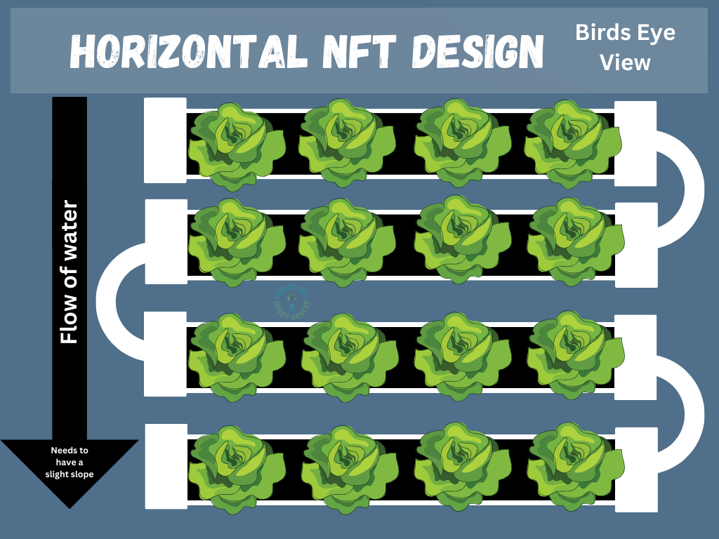 horizontal nft design