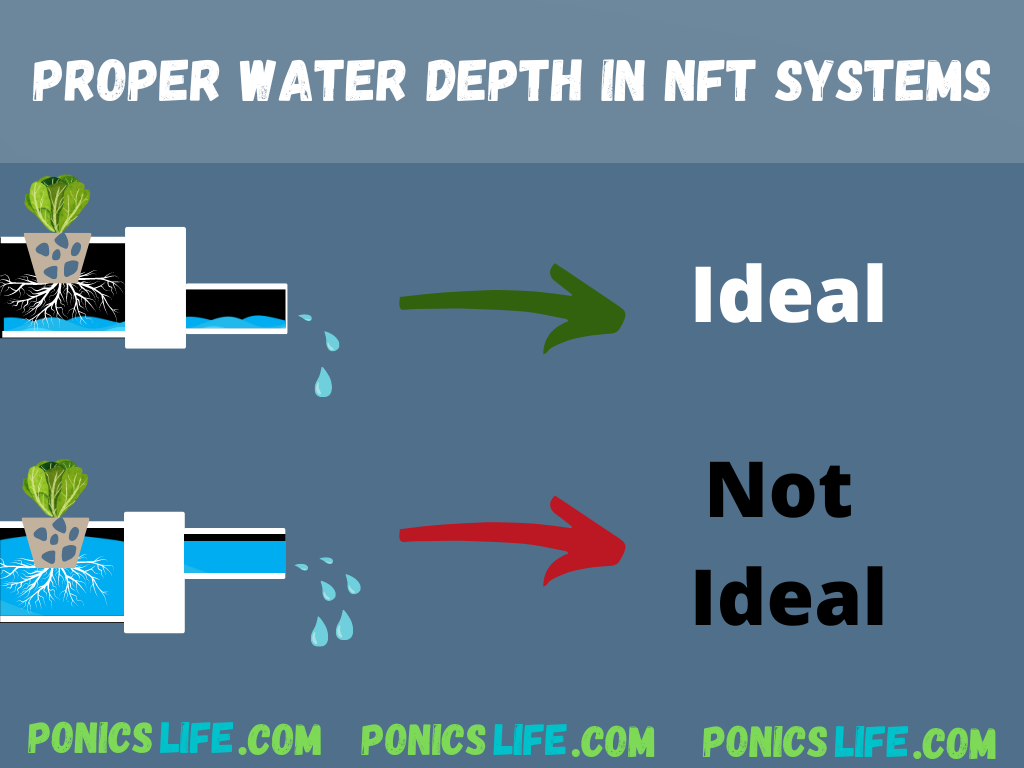 shows how deep water should be in an NFT system